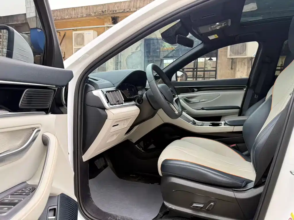BYD PLUS New Energy — фото 4