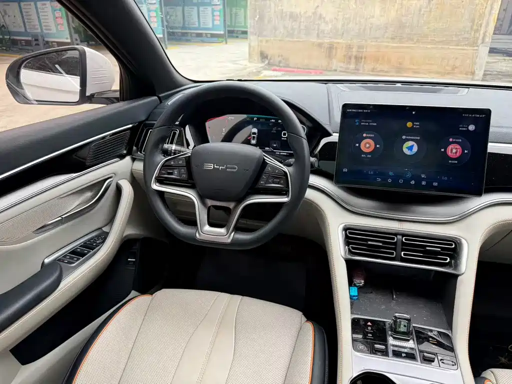 BYD PLUS New Energy — фото 6