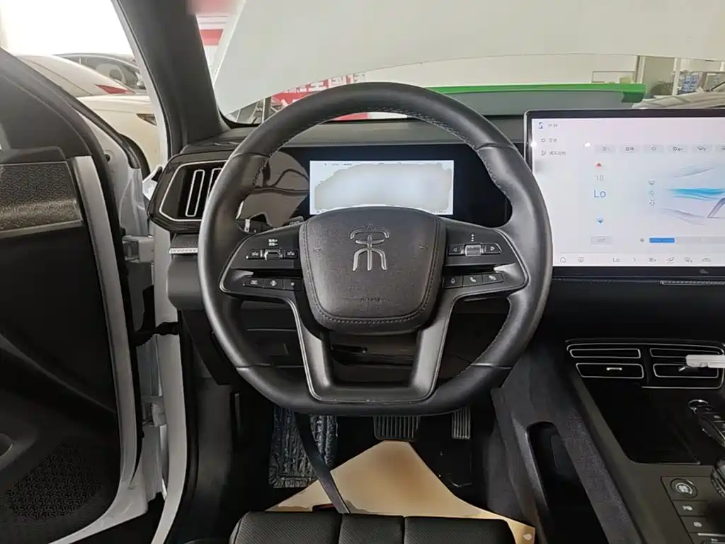 BYD Pro New Energy — фото 11