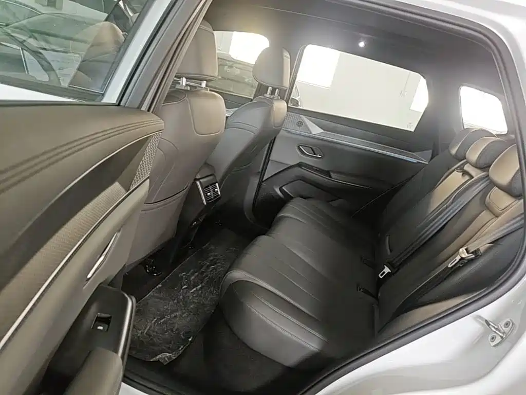 BYD Pro New Energy — фото 17