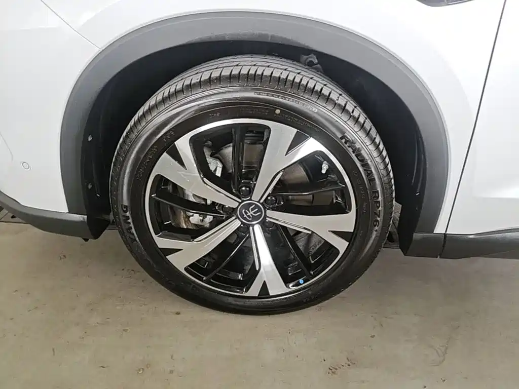 BYD Pro New Energy — фото 23