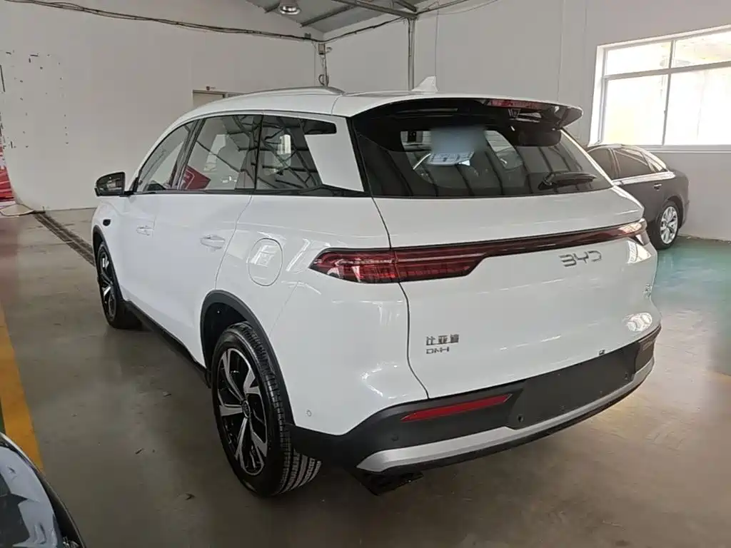 BYD Pro New Energy — фото 5