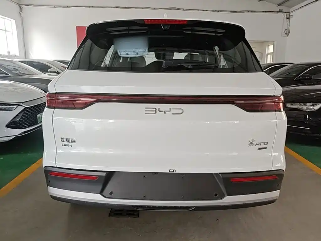BYD Pro New Energy — фото 6