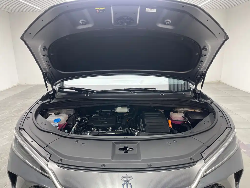 BYD L DM-i — фото 9