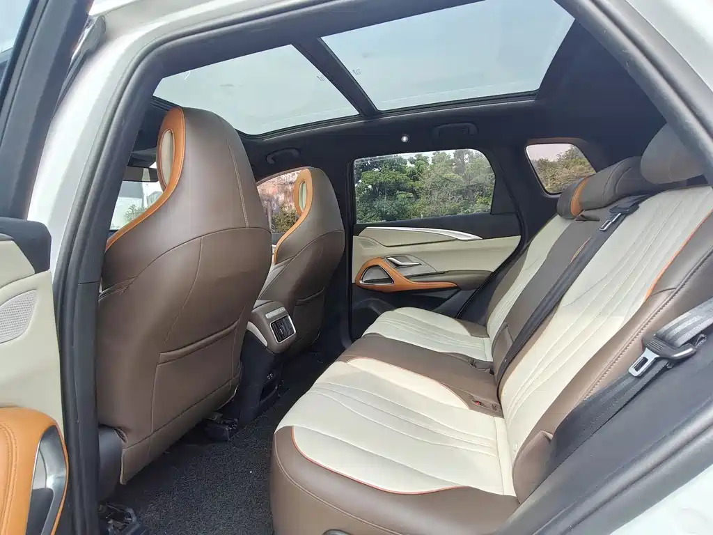 BYD Pro New Energy — фото 9