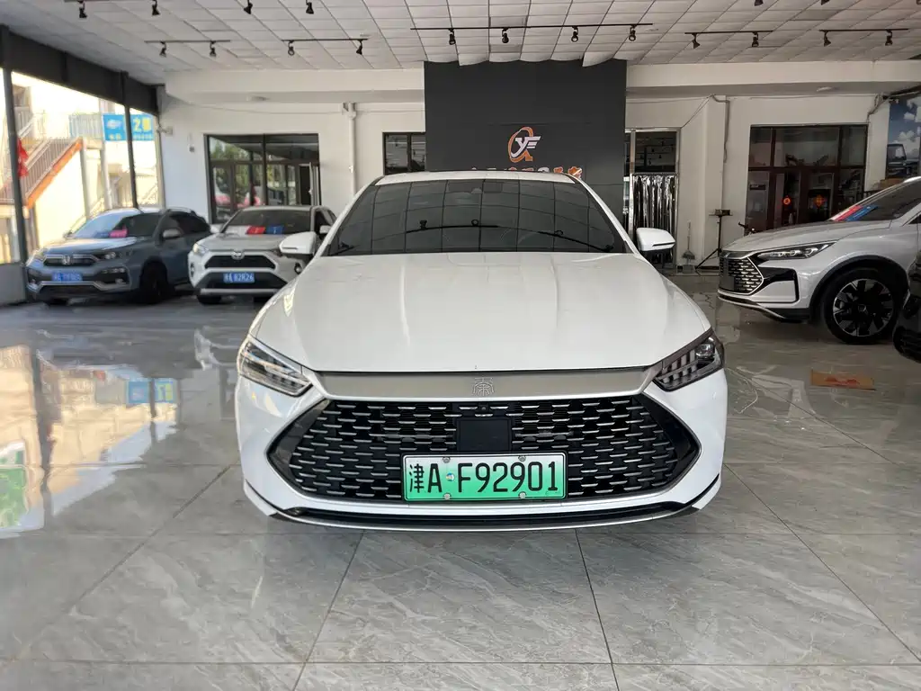 BYD Qin PLUS — фото 2