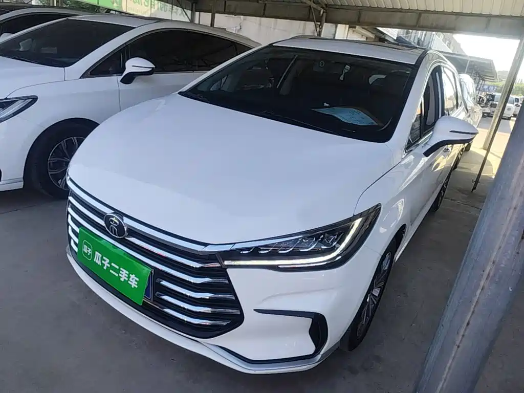 BYD MAX — фото 2