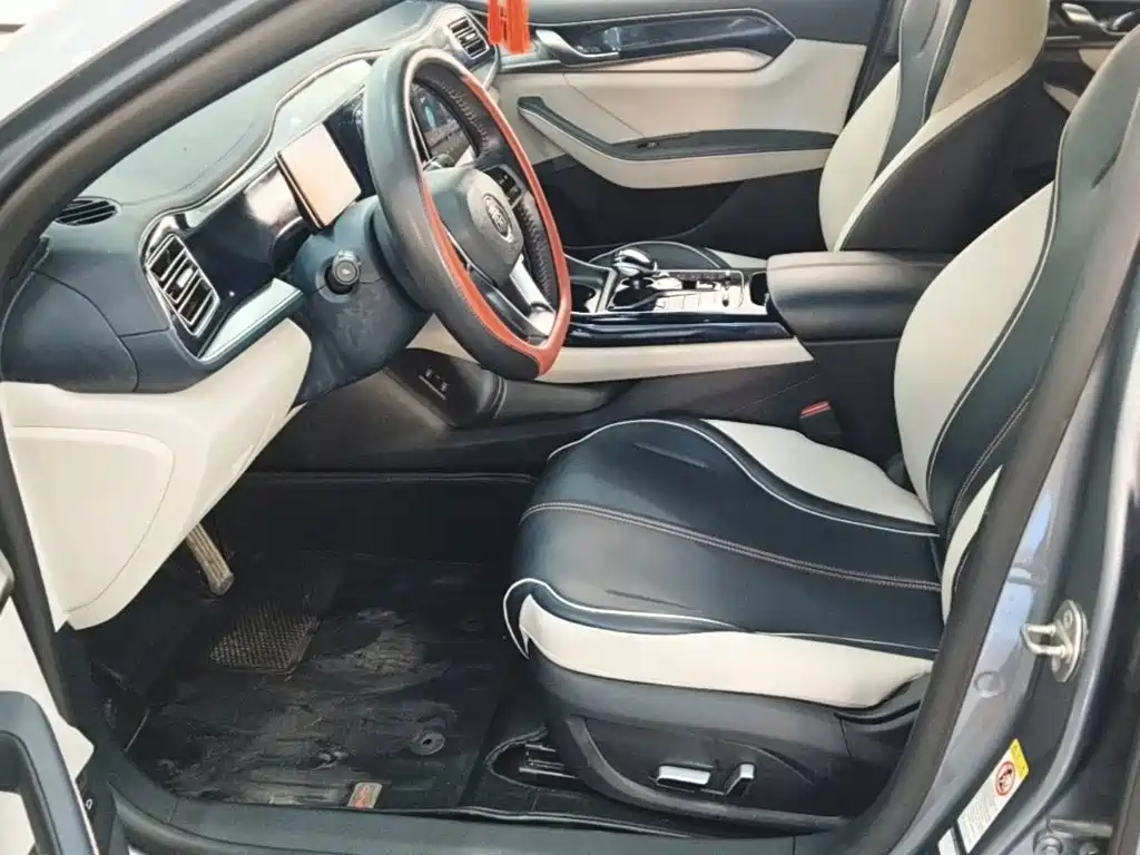 BYD Qin PLUS — фото 15