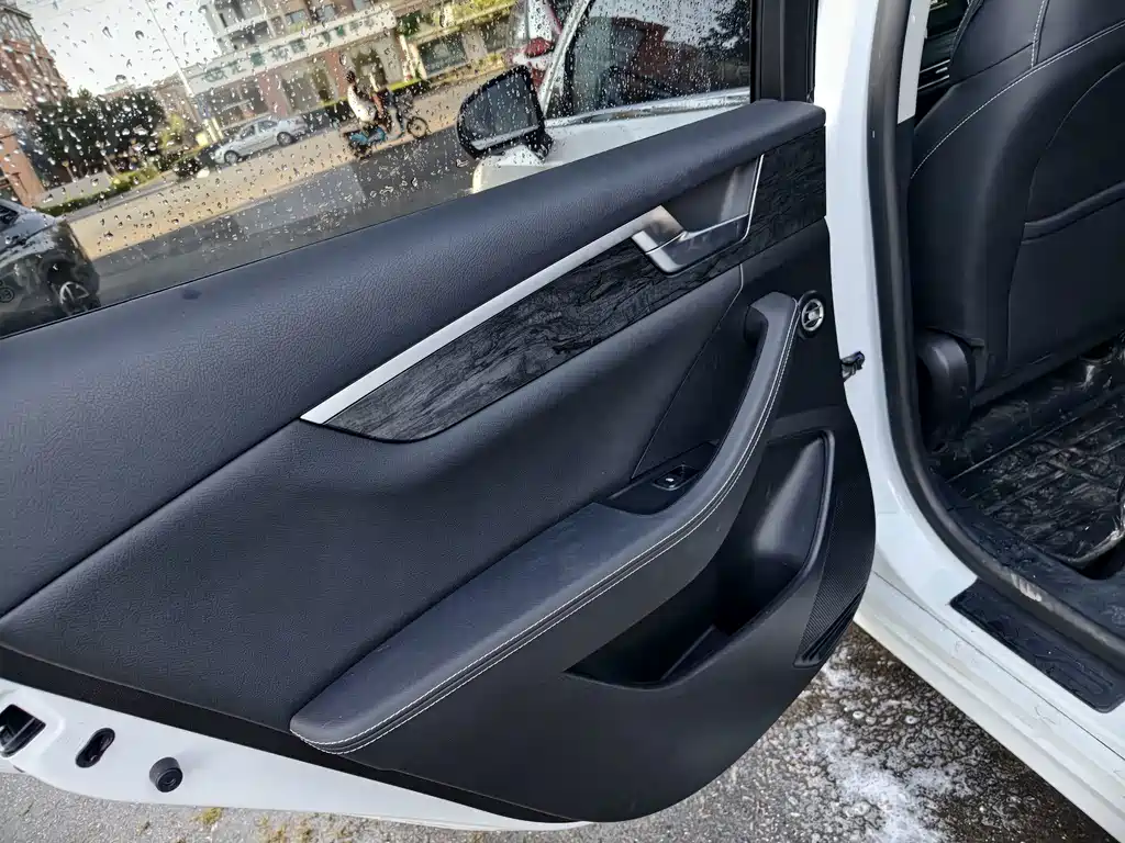 BYD Qin Pro NEV — фото 11