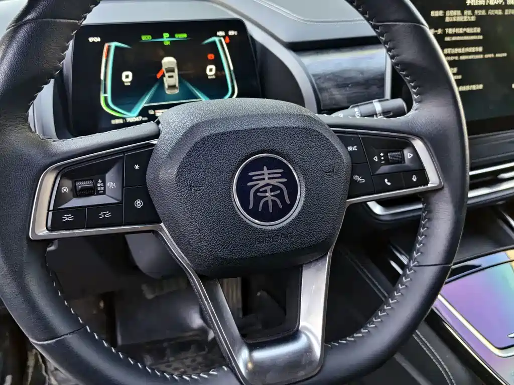 BYD Qin Pro NEV — фото 8