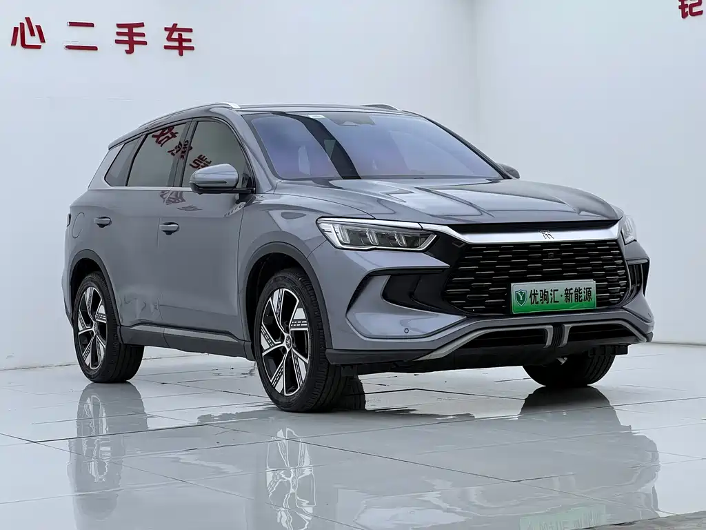 BYD Pro New Energy — фото 2