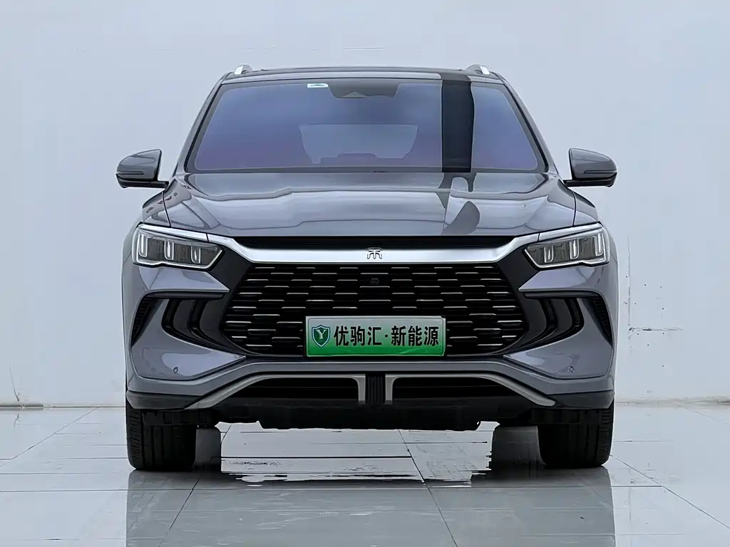 BYD Pro New Energy — фото 3