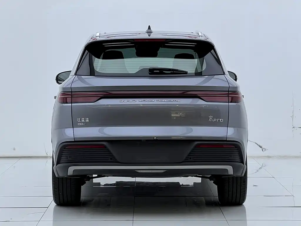 BYD Pro New Energy — фото 4