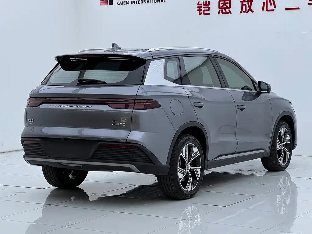 BYD Pro New Energy — фото 6
