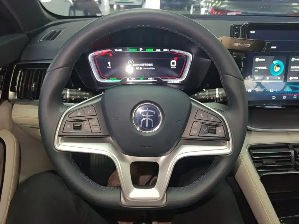 BYD PLUS New Energy — фото 11
