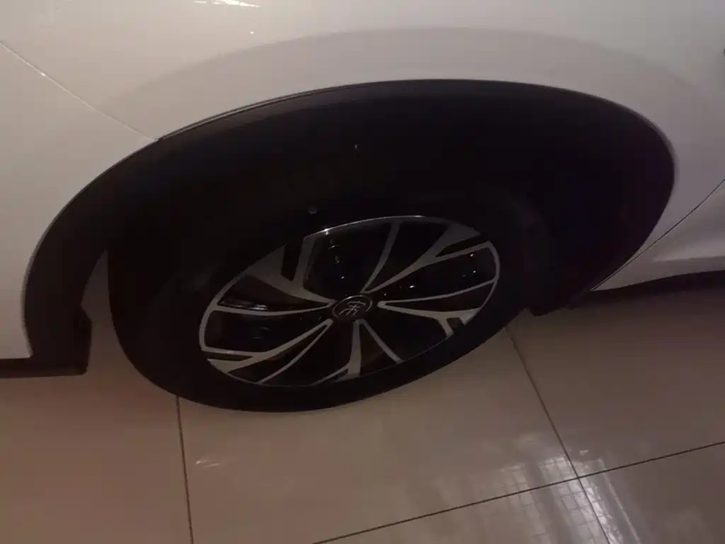 BYD Pro New Energy — фото 23