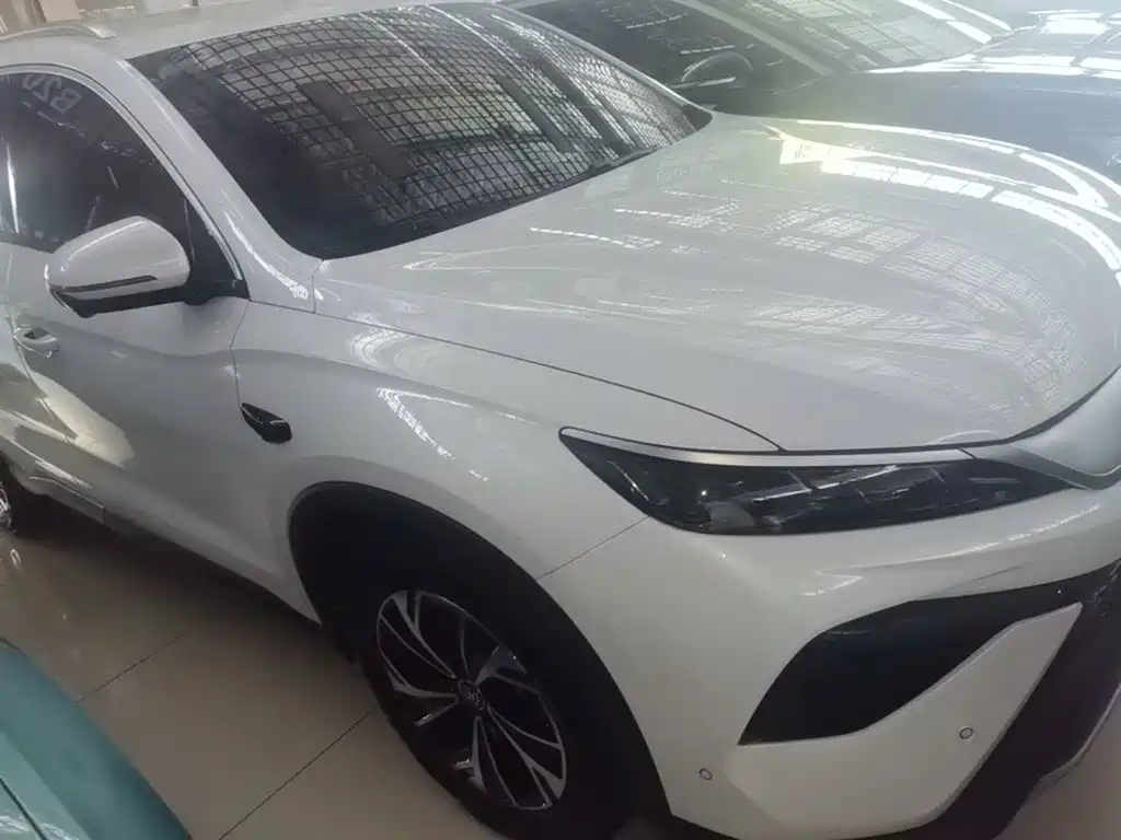 BYD Pro New Energy — фото 4