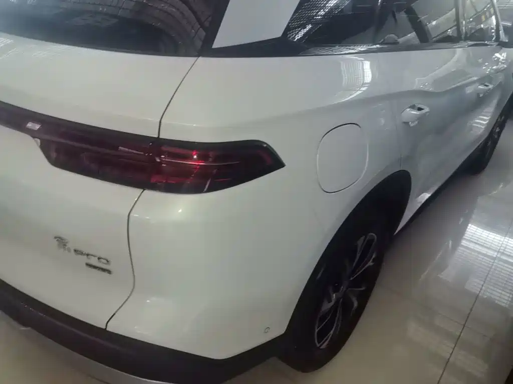 BYD Pro New Energy — фото 8