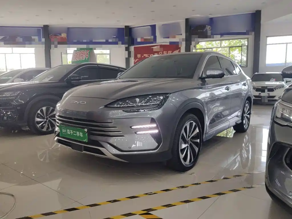 BYD PLUS New Energy — фото 2