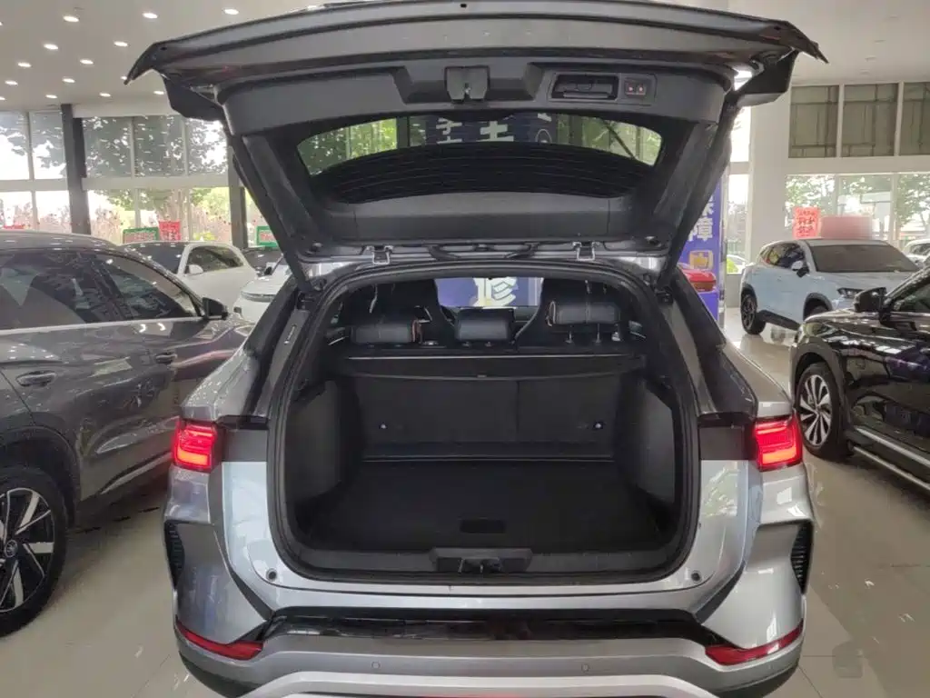 BYD PLUS New Energy — фото 19