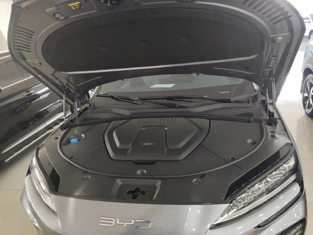 BYD PLUS New Energy — фото 20
