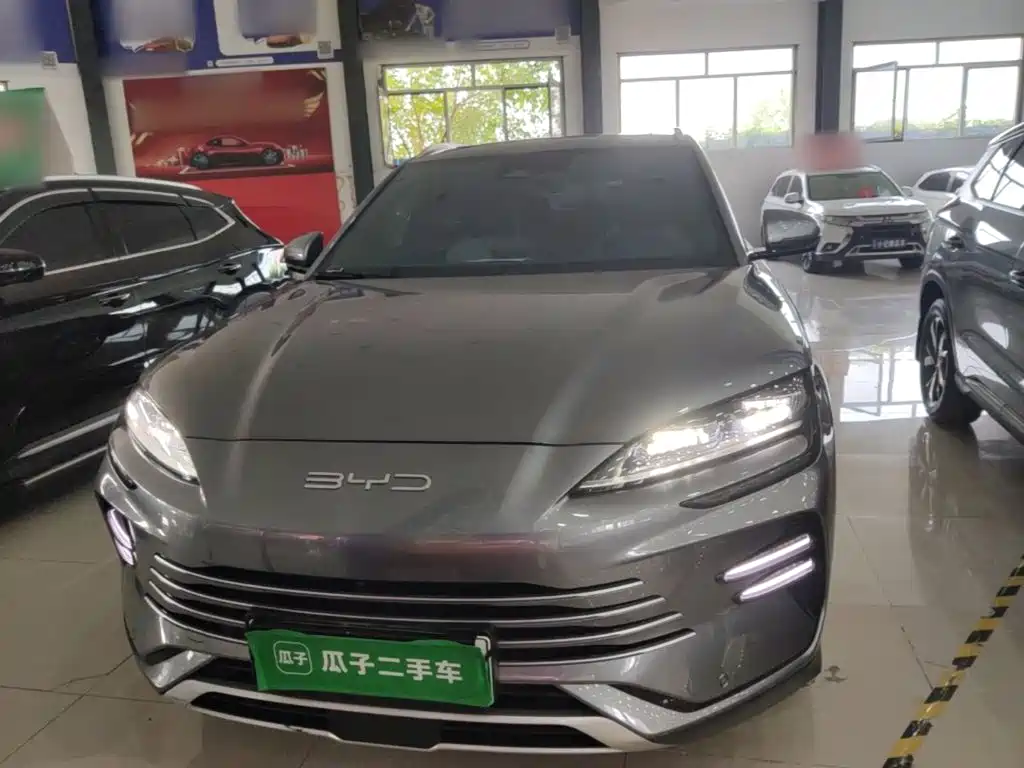 BYD PLUS New Energy — фото 3