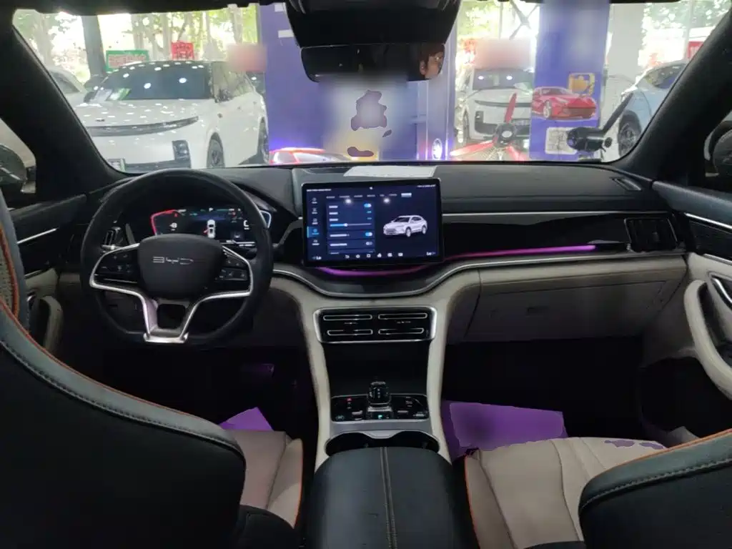 BYD PLUS New Energy — фото 10