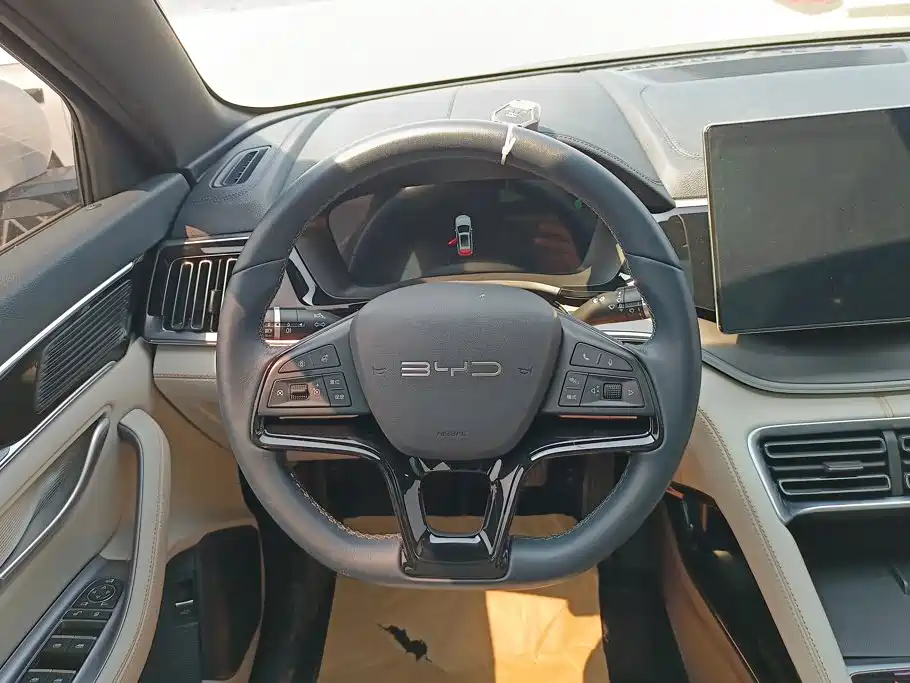 BYD PLUS New Energy — фото 14