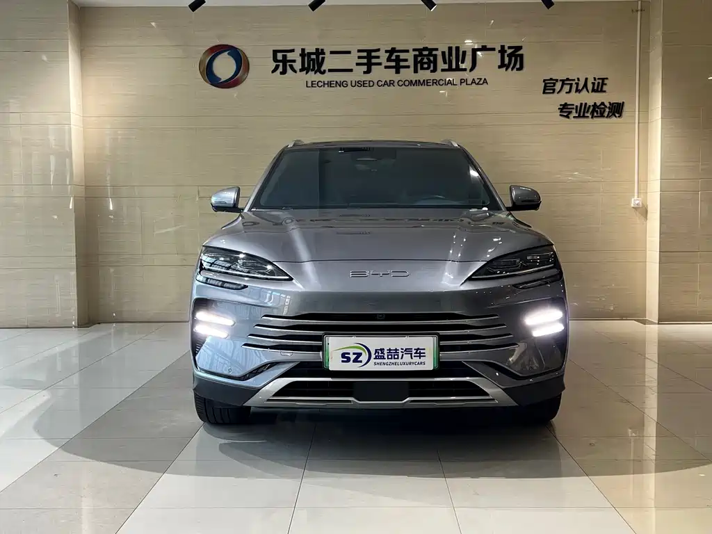 BYD PLUS New Energy — фото 2