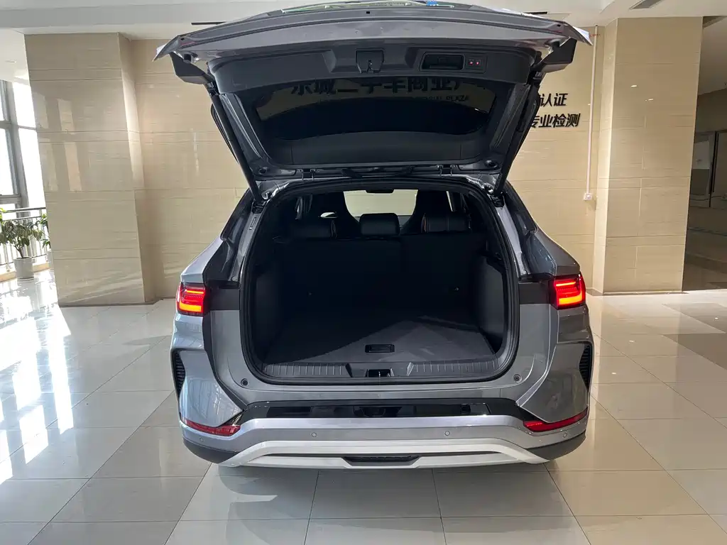 BYD PLUS New Energy — фото 17