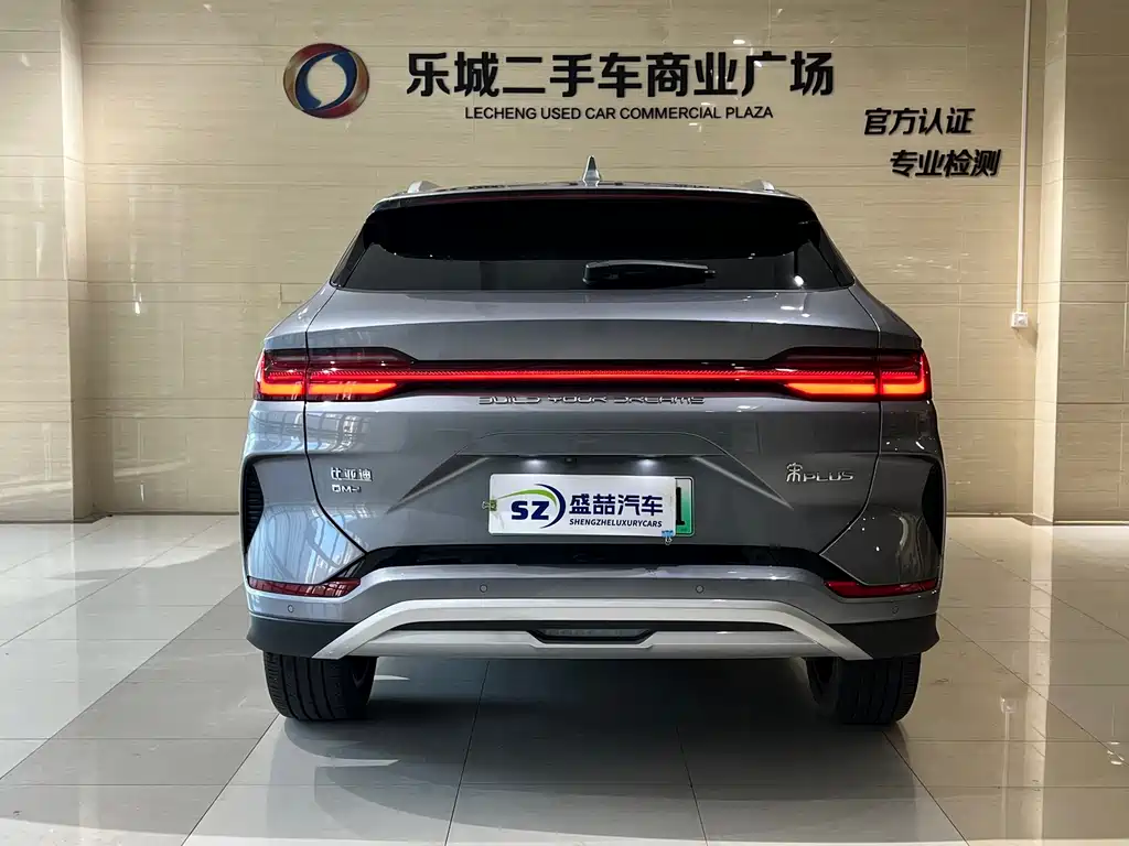 BYD PLUS New Energy — фото 19
