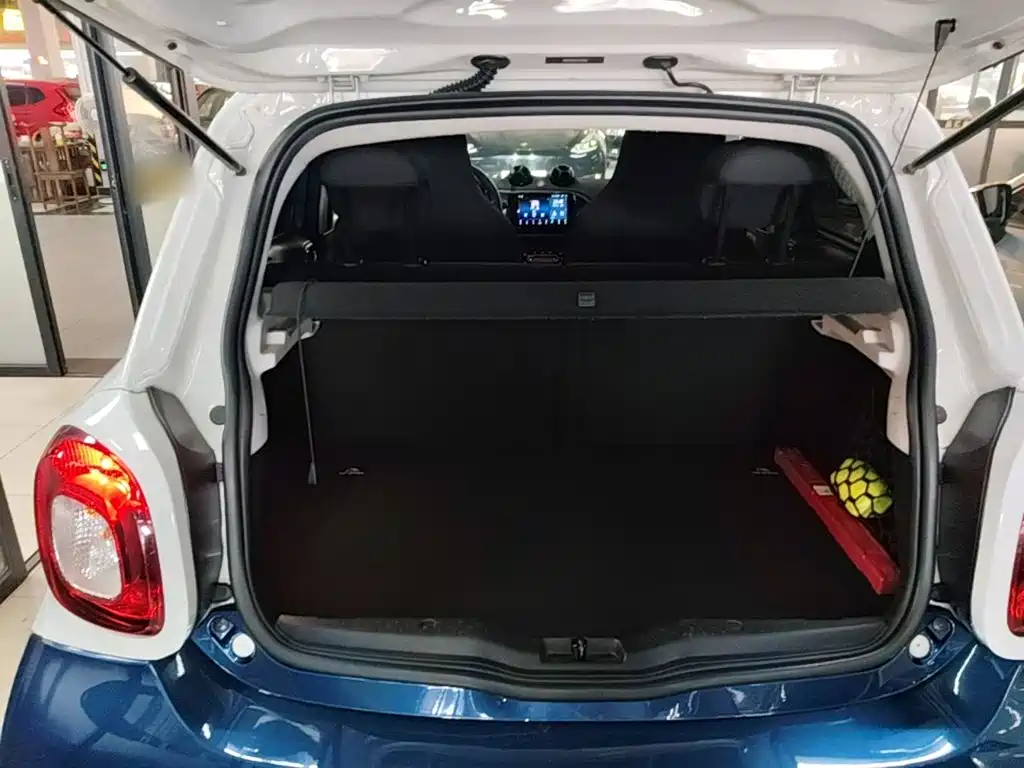 smart Smart Forfour — фото 18
