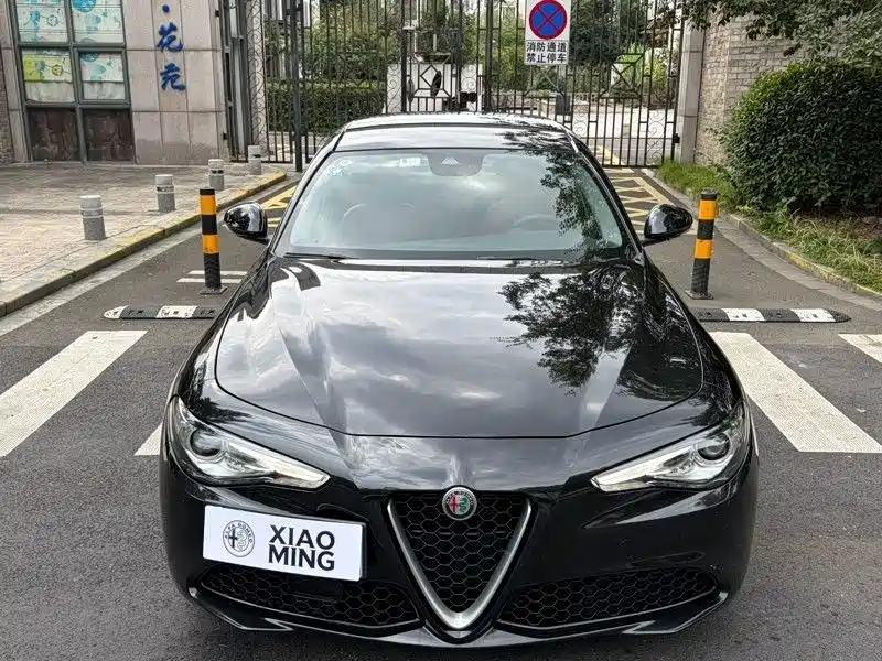 Alfa Romeo Giulia — фото 2