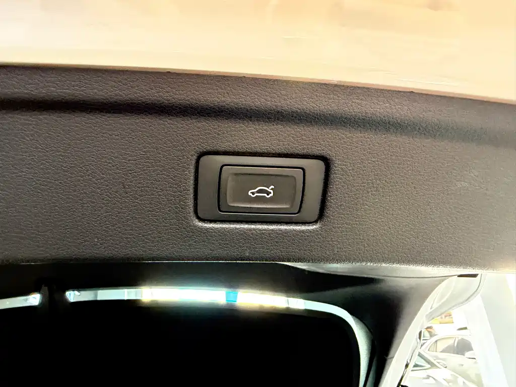 Audi A5 (Import) — фото 23