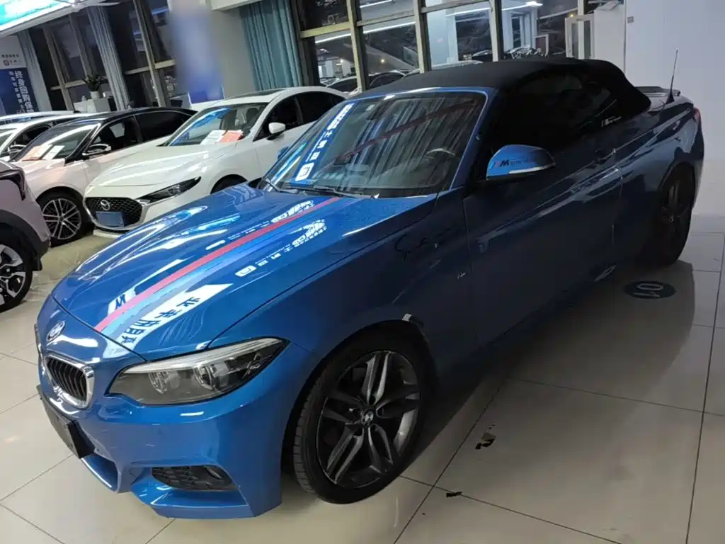 BMW 2 Series (Import) — фото 1