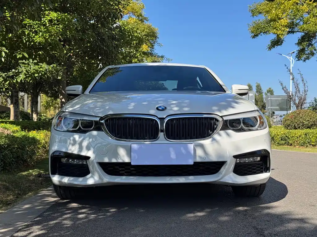 BMW 5 Series — фото 2