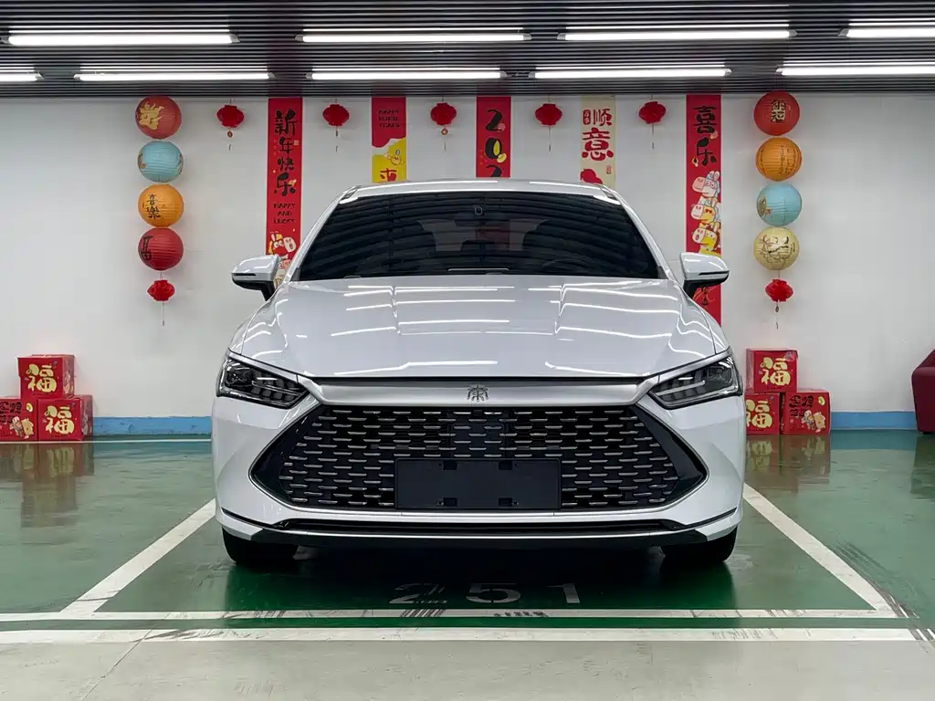 BYD Qin PLUS — фото 2