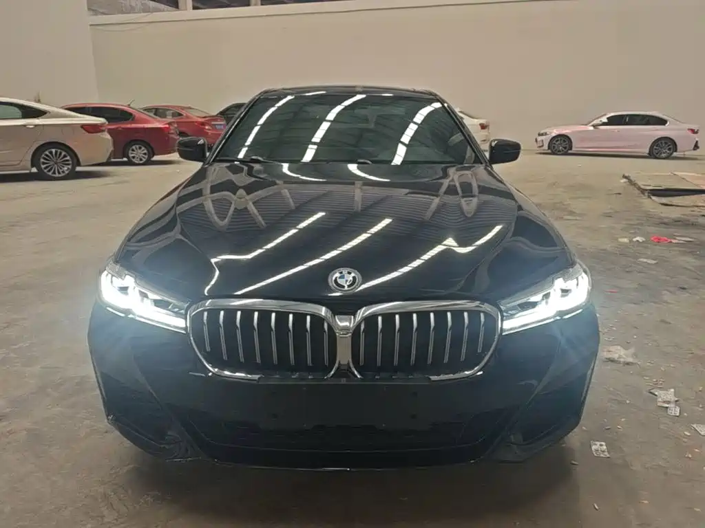 BMW 5 Series New Energy — фото 2