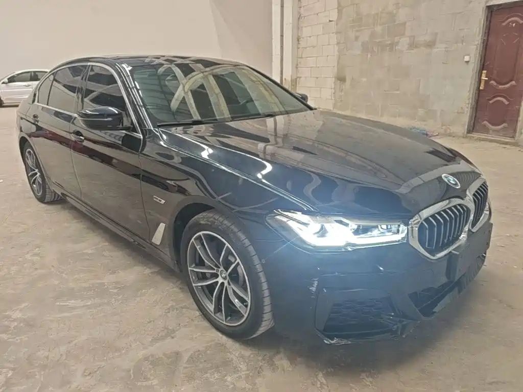BMW 5 Series New Energy — фото 3