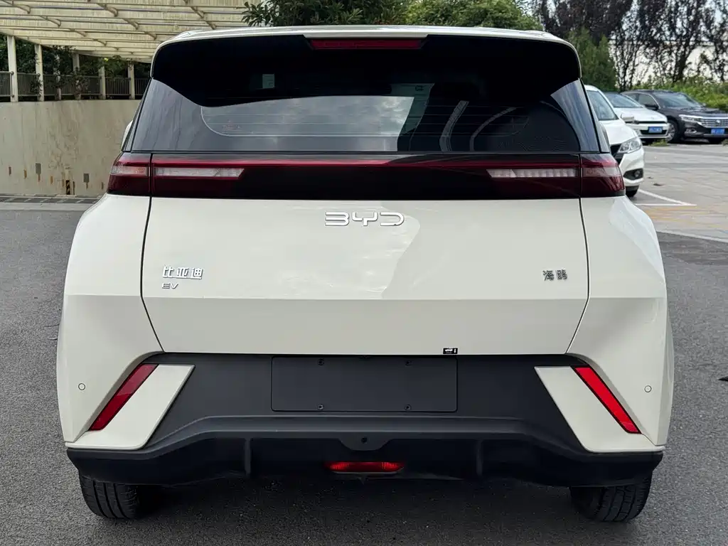 BYD Seagull — фото 22