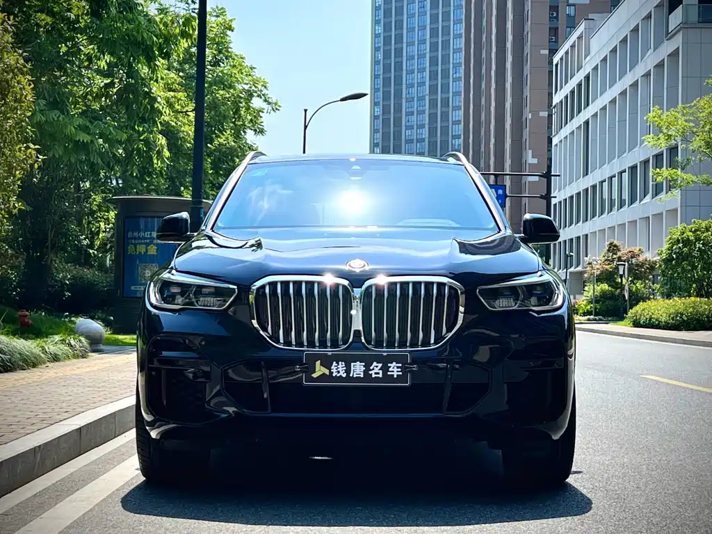 BMW X5 (Import) — фото 2
