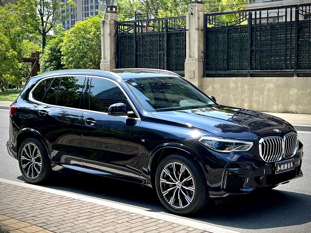 BMW X5 (Import) — фото 3