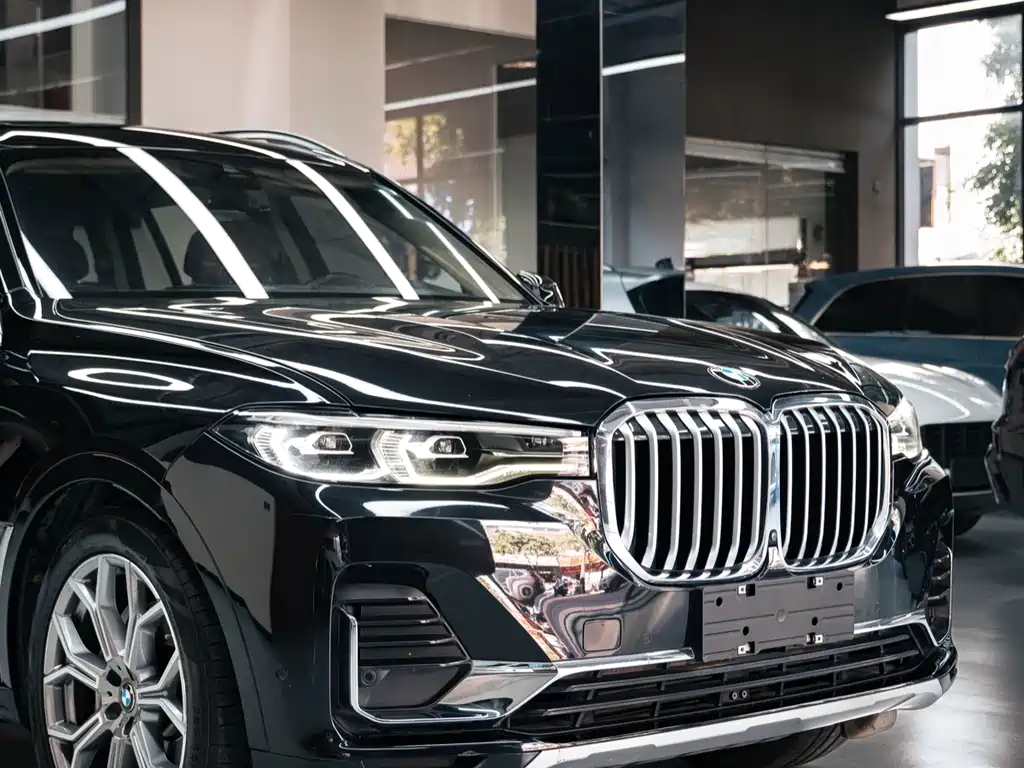 BMW X7 — фото 7
