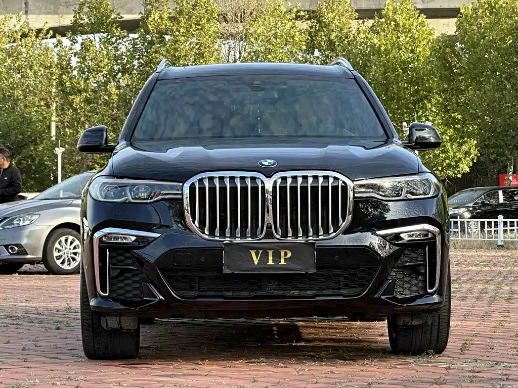 BMW X7 — фото 2
