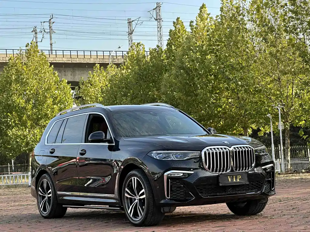 BMW X7 — фото 4