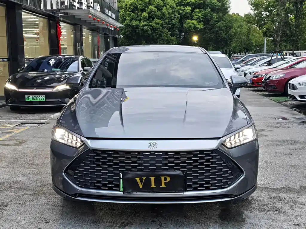 BYD Qin PLUS — фото 2