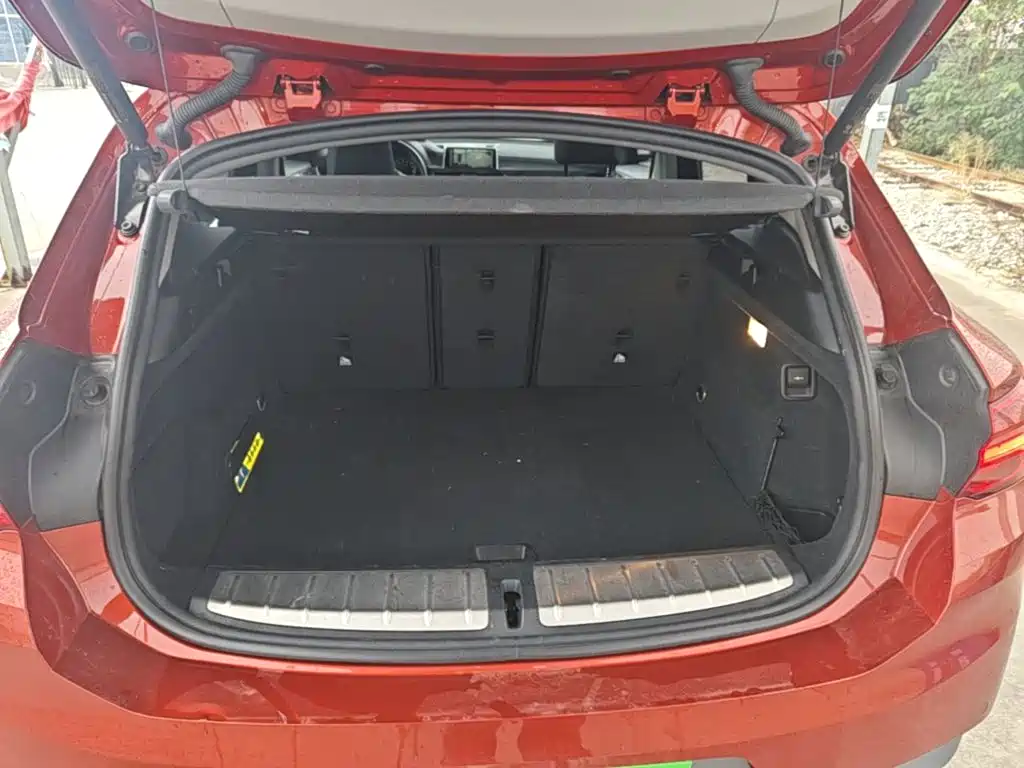 BMW X2 (Import) — фото 18