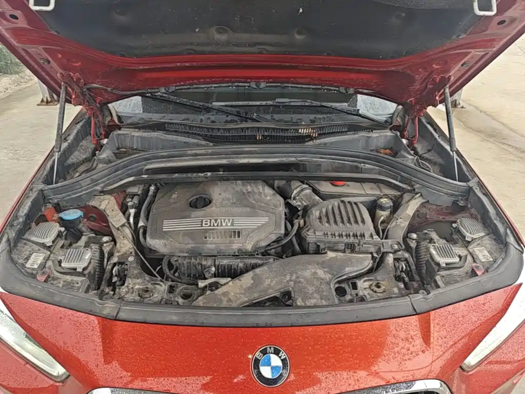 BMW X2 (Import) — фото 19
