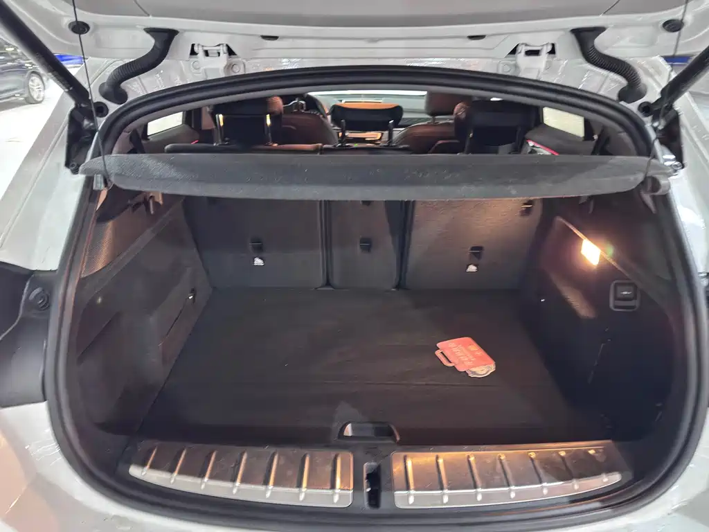 BMW X2 (Import) — фото 23