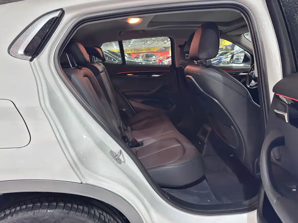 BMW X2 (Import) — фото 10